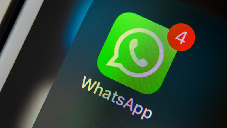 WhatsApp icon on an smartphone screen.